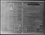The Villager, Vol. 1, no. 20