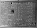 The Villager, Vol. 1, no. 20