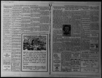 The Villager, Vol. 1, no. 22