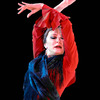 Hall, Cristina