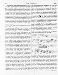 Allgemeine Musikalische Zeitung 