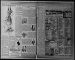 The Villager