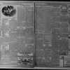 The Villager