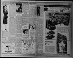 The Villager