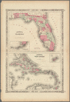 Johnson's Florida