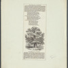 "The Sydney Oak," at Penshurst