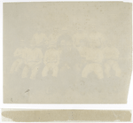 Philadelphia Baseball Club, 1886, McGuire, Wood, Mulvey, Bastian, Cusick, Farrar, Daily, Fogarty, H. Wright, Andrews, Ferguson, Capt. Irwin, Casey, Clements