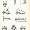 1. Vampyrops vittatus; 2. Chiroderma villosum; 3. Chiroderma salvini.