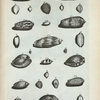 Porcellanæ Minores, vulgo Cauri et Caudi: A. Thoracium oculatum; B. Thoracium stellatum; C. Thoracium vulgare, sive Cauricium; D. Thoracium quartum; E. Dracæna; F. (Belg.) Blaauw-rug en Lijstje; G. Izabella; H. Argus parvus; I. Nussatellana granulata; K. Globulus primus; L. Globulus lævis; M. Asellus; N. Margarita; O. Ursula; P. Pediculus; Q. (Belg.) Gewolkte Achaate Klip-hoorn; R. (Belg.) Wit geplekte Achaat; S. (Belg.) Carthageensche Klip-hoorn. Cylindri: Fig. 1 Cylindrus Porphyreticus; Figl 2. Cylindrus niger; Fig. 3. Cylindrus tertius; Fig. 4. Cylindrus quartus, seu sepultura Principis; Fig. 5. Cylindrus septimus; Fig. 6. Cylindrus octavus; Fig. 7. Cylindrus nonus; Fig. 8. Cylindrus decimus; Fig. 9. Eximia species Cylindri.