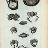 1. Cancer Ruber; 2. Cancer Barbatus; 3. Pediculus Marinus; 4. Limax Marina; 5. Limax Marina tertia; Limax Marina altera; A. Cancellus Anatum primus; B. Cancellus Anatum secundus; C. Cancellus Anatum tertius; D. Cancellum Anatum quartus; E. Cancer vocans.