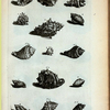 Cassides Verrucosæ: A. Verrucosa prima, sive Ceramica; B. Verrucosa secunda; C. Verrucosa tertia; D. (D. Belg.) Wijd-mondige Pimpeltje; E. (Belg.) Kleyne Geel-mond, of bruyme Pimpeltje en kleyne getakte Moerbey; F. (Belg.) Haayrige Oor, of Oor-lies en Oorhoorn; G. (Mal.) Bia Cadoe; H. Ranula; I. (Belg.) Knoddeke; Fig. 1. Braccæ Helvetiorum;Fig. 2. (Belg.) Dubbelde getakte schilpadstaart, of bedde-teyk; Fig. 3. (Belg.) Gladde Bedde-teyk; Fig. 4. (Belg.) Getakte bastaart zoort van Bedde-teyk; Fig. 5. et 6. (Belg.) Geknobbelde Schipad-staart.