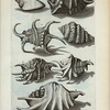 Cochleæ Alatæ: A. Harpago Mas; B. Harpago Foemina; C. Harpago tertius; D. Harpago quartus; E. Cornuta, seu Heptadactylus Plinii; F. Cornuta, seu Heptadactylus Plinii alter; H. Cornuta Decumana.