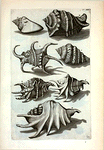 Cochleæ Alatæ: A. Harpago Mas; B. Harpago Foemina; C. Harpago tertius; D. Harpago quartus; E. Cornuta, seu Heptadactylus Plinii; F. Cornuta, seu Heptadactylus Plinii alter; H. Cornuta Decumana.