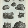 A. Ostreum in lapidem conversum; B. Altera species Ostrei in lapidem conversi; C. Concha marina in lapidem conversa; D. Strombus in lapidem conversus; E. Lapis duritiei siliceæ cochleis et conchis obsitus prope Bruxellas inter fodiendum inventus; F. Altera species ex Indiâ Occidentali ad nos allata; G. Minera; H. Ostreum duplicatum intus et extus omnino in lapidem conversum è montibus Hetruriæ fossum; I. Cochlea omnimodò in lapidem conversa; K. Concha duplicata in lapidem conversa.