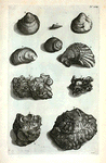 A. Ostreum in lapidem conversum; B. Altera species Ostrei in lapidem conversi; C. Concha marina in lapidem conversa; D. Strombus in lapidem conversus; E. Lapis duritiei siliceæ cochleis et conchis obsitus prope Bruxellas inter fodiendum inventus; F. Altera species ex Indiâ Occidentali ad nos allata; G. Minera; H. Ostreum duplicatum intus et extus omnino in lapidem conversum è montibus Hetruriæ fossum; I. Cochlea omnimodò in lapidem conversa; K. Concha duplicata in lapidem conversa.