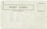 Brooklyn Baseball Club, 1907