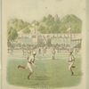 Fly ball