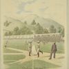 Wild pitch