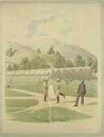 Wild pitch