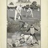 Cricket vs. baseball