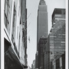 The Empire State Building, N.Y.