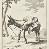 Bertoldino Lying in a Donkey