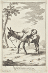 Bertoldino Lying in a Donkey