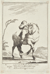Cacasenno on Horseback