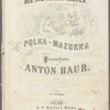 Die schwarzen Tasten