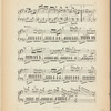 Souvenir chorégraphique de l'opéra de Vienne