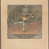 Richard Park Beard collection of ballet prints