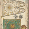 France, 1814-1815