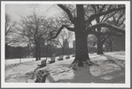 View in Brooklyn's Fort Greene Park