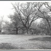 Fort Greene Park in Brooklyn, N.Y.