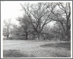 Fort Greene Park in Brooklyn, N.Y.