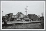 Circus train on a siding at Garden City, Long Island