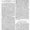 Wiener Musikalische Zeitung