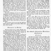 Wiener Musikalische Zeitung