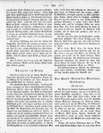 Wiener Musikalische Zeitung