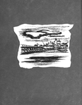 Orhei