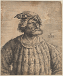 Kuntz (Conrad) von der Rosen, Court Jester of Emperor Maximilian I
