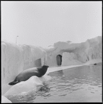 Aquarium