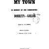 Golub-Dobrzyń (1969)