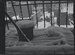 Snowy fire escape