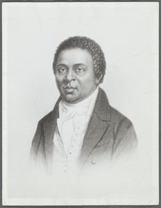 Peter Williams Portrait Collection