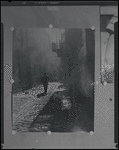 Man in an alley