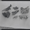 Unidentified