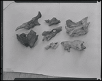 Unidentified