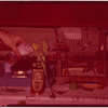 Tropical bird drinking Ballantine Ale