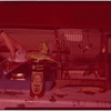 Tropical bird drinking Ballantine Ale